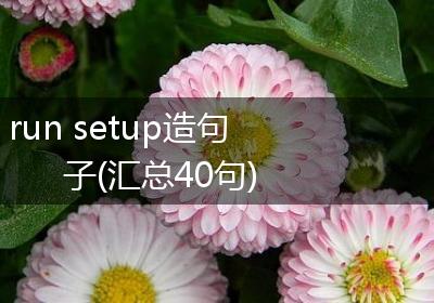 run setup造句子(汇总40句)