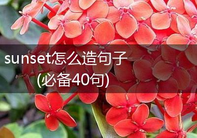 sunset怎么造句子(必备40句)