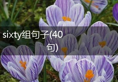 sixty组句子(40句)