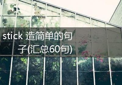 stick 造简单的句子(汇总60句)