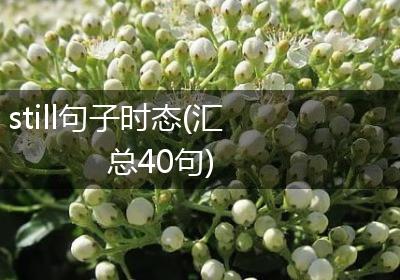 still句子时态(汇总40句)