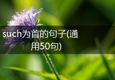 such为首的句子(通用50句)