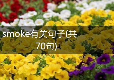 smoke有关句子(共70句)