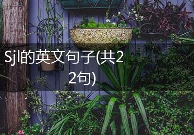 Sjl的英文句子(共22句)