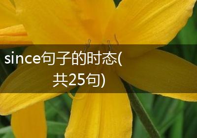 since句子的时态(共25句)