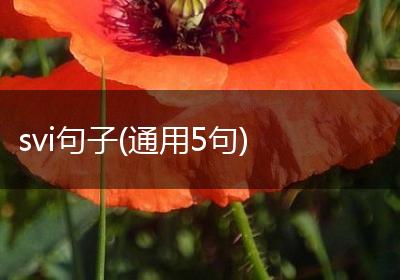 svi句子(通用5句)
