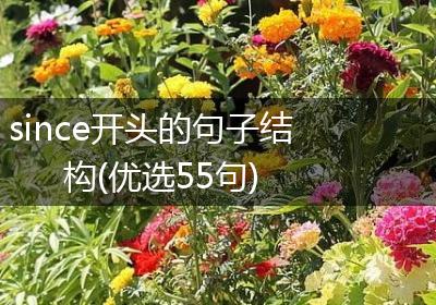 since开头的句子结构(优选55句)