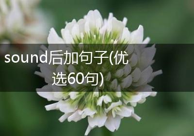 sound后加句子(优选60句)