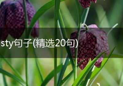 sty句子(精选20句)