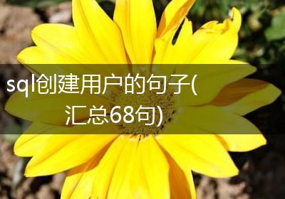 sql创建用户的句子(汇总68句)