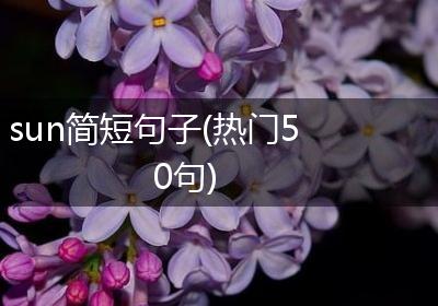sun简短句子(热门50句)