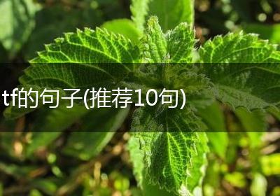 tf的句子(推荐10句)