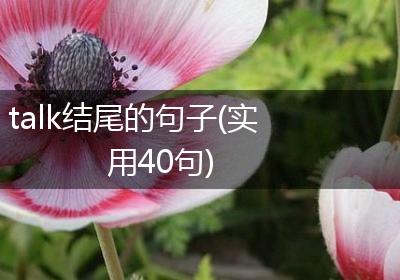talk结尾的句子(实用40句)