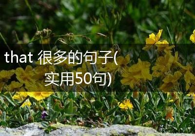 that 很多的句子(实用50句)