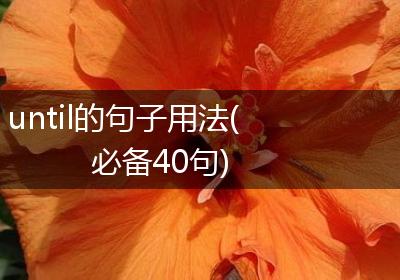 until的句子用法(必备40句)