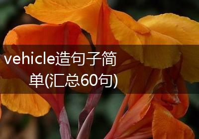 vehicle造句子简单(汇总60句)