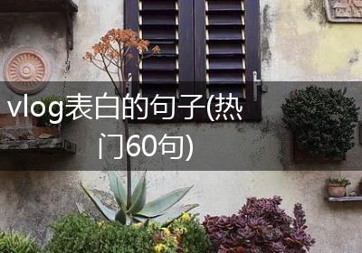 vlog表白的句子(热门60句)