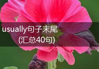 usually句子末尾(汇总40句)