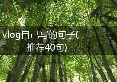 vlog自己写的句子(推荐40句)