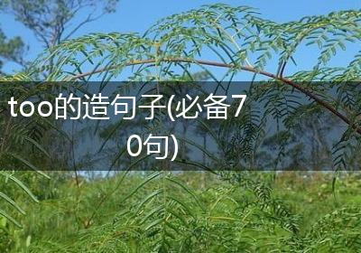 too的造句子(必备70句)