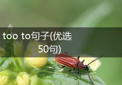 too to句子(优选50句)
