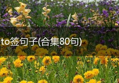 to签句子(合集80句)
