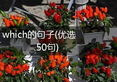 which的句子(优选50句)