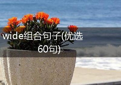 wide组合句子(优选60句)