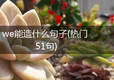 we能造什么句子(热门51句)