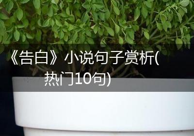 《告白》小说句子赏析(热门10句)