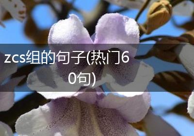 zcs组的句子(热门60句)