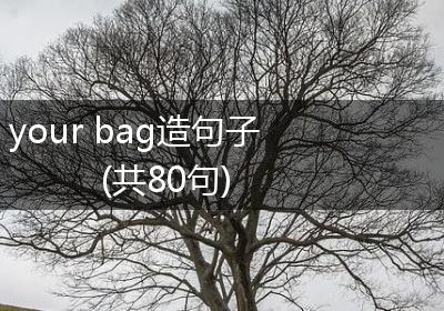 your bag造句子(共80句)