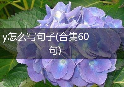 y怎么写句子(合集60句)