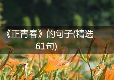 《正青春》的句子(精选61句)