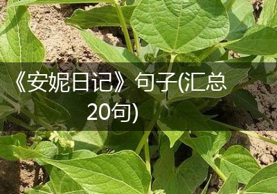 《安妮日记》句子(汇总20句)