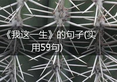 《我这一生》的句子(实用59句)