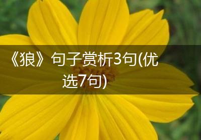 《狼》句子赏析3句(优选7句)