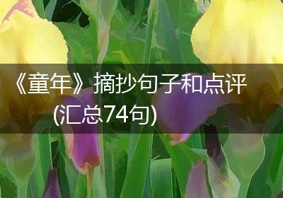 《童年》摘抄句子和点评(汇总74句)