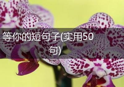 等你的短句子(实用50句)