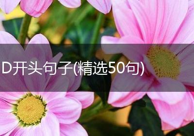 D开头句子(精选50句)