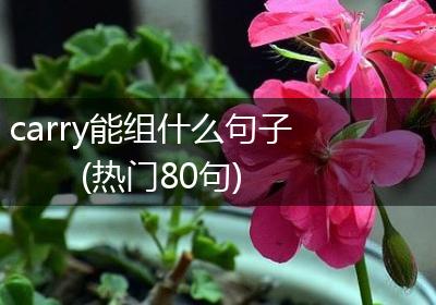 carry能组什么句子(热门80句)