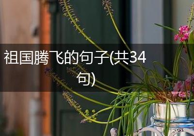 祖国腾飞的句子(共34句)