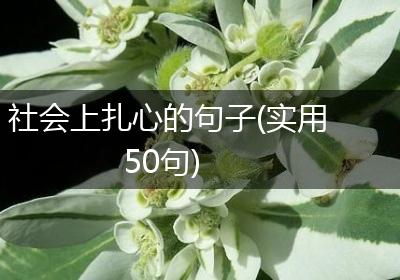 社会上扎心的句子(实用50句)