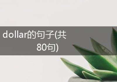 dollar的句子(共80句)