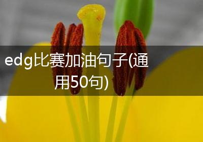 edg比赛加油句子(通用50句)