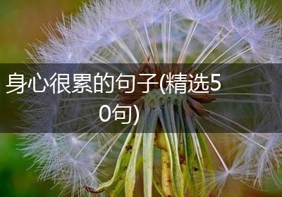 身心很累的句子(精选50句)