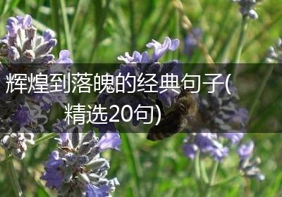 辉煌到落魄的经典句子(精选20句)
