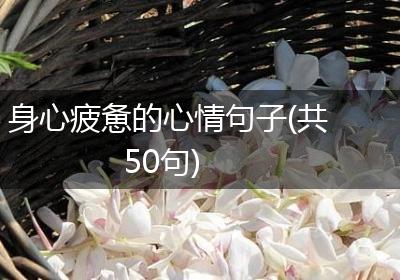 身心疲惫的心情句子(共50句)