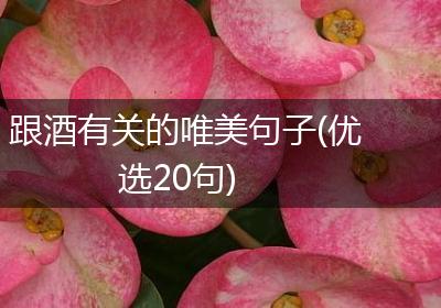 跟酒有关的唯美句子(优选20句)