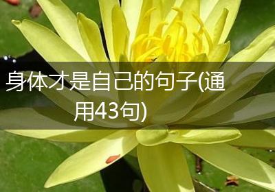 身体才是自己的句子(通用43句)